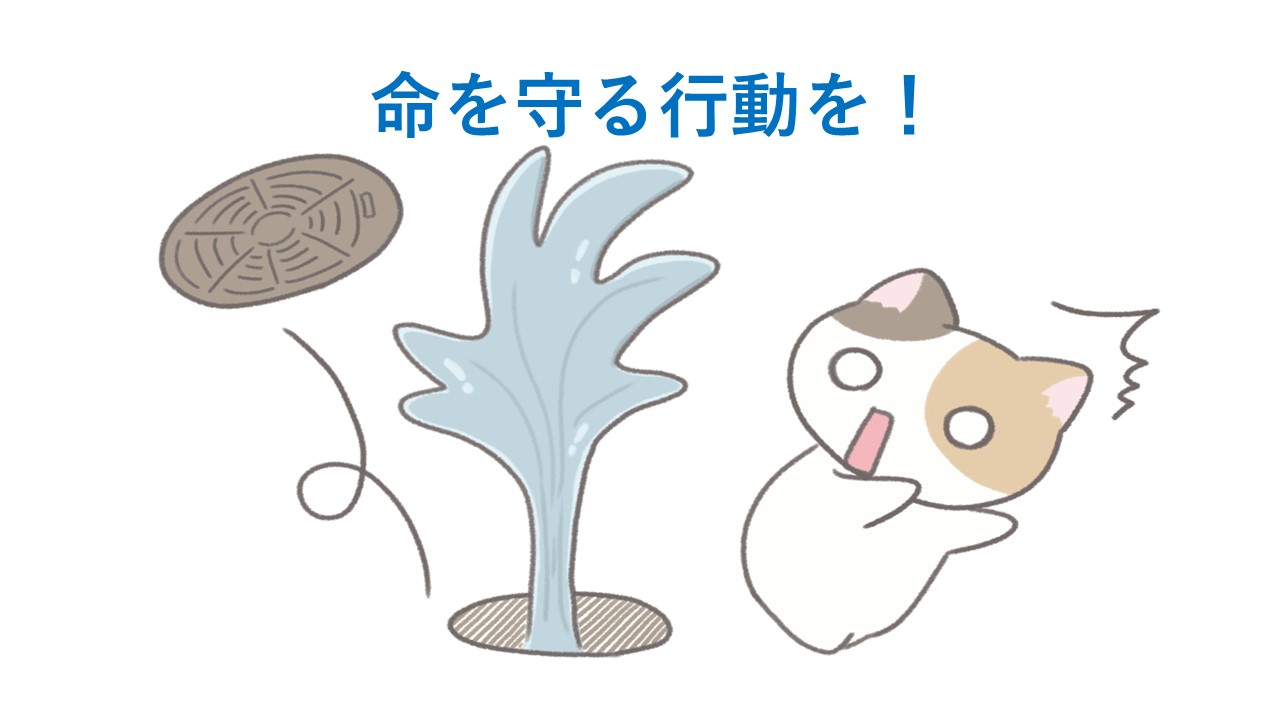 自然には逆らえない？自分でもできる命を守る行動を！