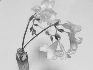 親の死後の実家をどうする？思い出と現実は切り離すべし！