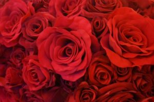 「ベルばら」生誕50年⁉今なお色あせない人気から学ぶ大人女性の生き方